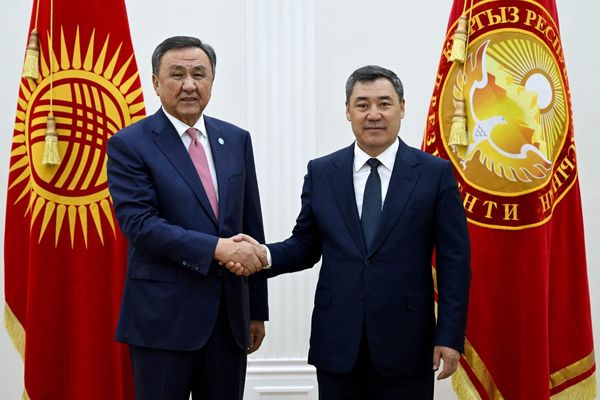 Президент Түрк мамалекеттер уюмунунун башкы катчысы менен жолукту