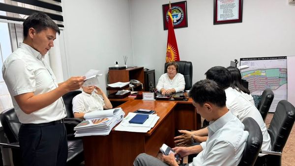 Аламүдүндө 46 мыйзамсыз объект аныкталды