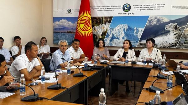 Кыргызстан климаттык милдеттенмелердин аткарылышын талдоодо