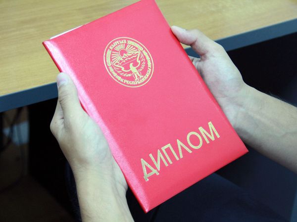 Ысык-Көлдө 2 кызматкердин жасалма диплом менен иштеп жүргөнү аныкталды