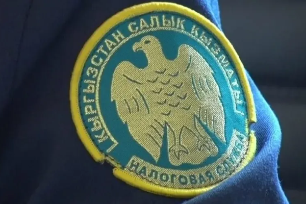 Салык кызматы: Салыкты 1-сентябрдан кечиктирбестен төлөөнү эскертти