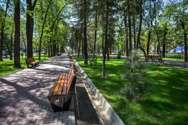 Бишкектеги сейил бактарда ит сейилдетүүчү атайын жайлар түзүлөт