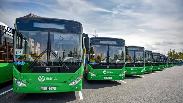 "Бишкек Аренага" кайдан барса болот? Шаттл-автобустар жүрчү 21 дарек