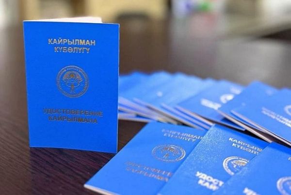 Жети айда 387 этникалык кыргыз кайрылман статусун алды