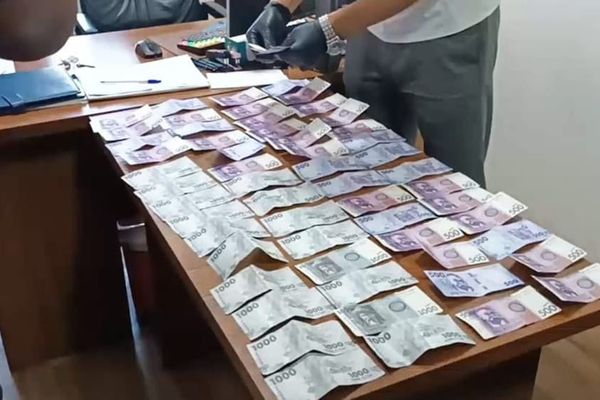 Милицияга пара берген жаран кармалды