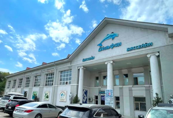 Бишкектеги "Дельфин" бассейни реконструкцияга даярдалууда