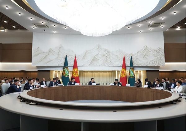 Айыл чарба министрлиги биринчи жарым жылдыктын жыйынтыгын чыгарды