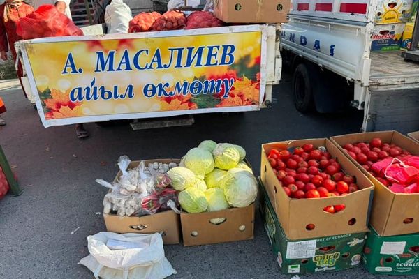Кадамжайда айыл чарба жарманкеси өтүүдө