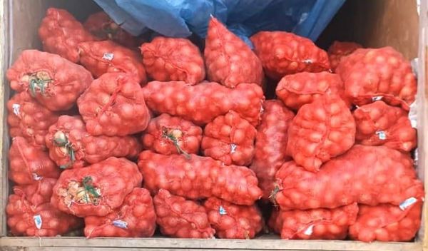 Өзбекстандан алынып келинген пияз өлкө аймагына киргизилген жок