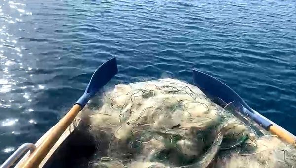 Токтогул суу сактагычынан мыйзамсыз балык уулоочу торлор алынды