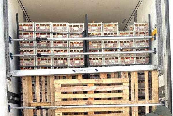 Ирандан келген 22 тонна нектарин артка кайтарылды