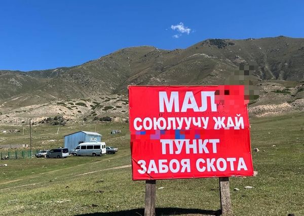 Кырчын жайлоосундагы мал союучу жайлар текшерилди