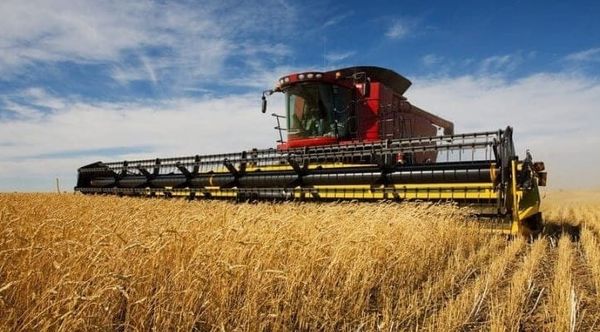 Өлкө боюнча 985 миң тоннадан ашык дан эгиндери жыйналды