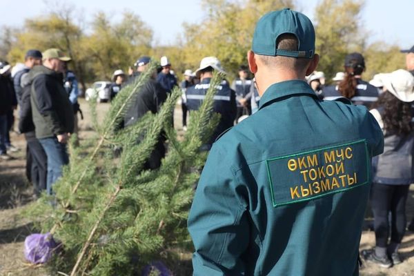 Токой кызматы Жаратылыш ресурстары министрлигинин карамагына өттү