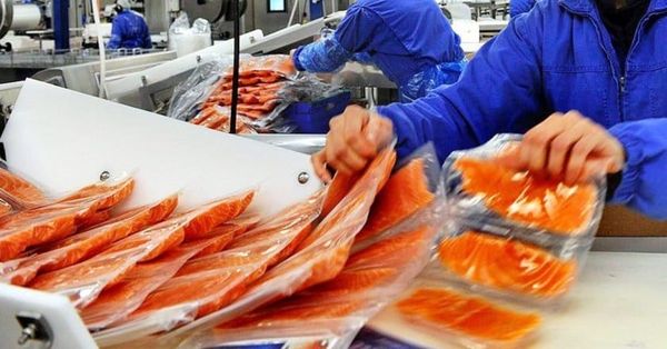 Акыркы 7 айда Кыргызстандан 746,7 тонна балык чет өлкөлөргө сатылды