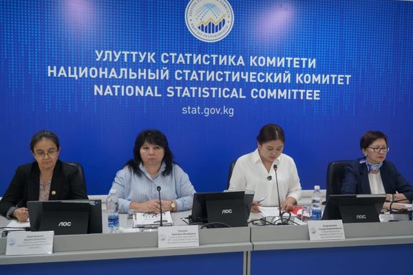 Улуттук статистика комитети: Кыргызстанда ИДП 11,1% өстү