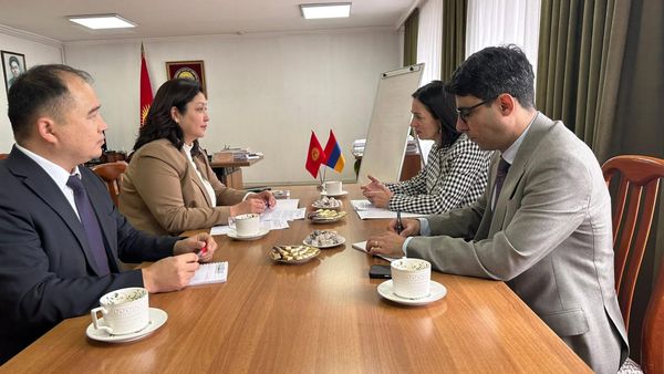 Кыргыз-армян инновациялык өнөктөштүгү жаңы багыттар менен толукталат