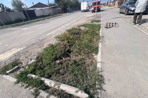 Балыкчыда сапатсыз жол салган 3 компанияга 105 миң сом айып салынды