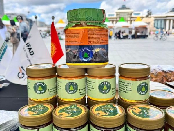 Кыргызстандын табигый токой азыктары эл аралык рынокко жол алууда