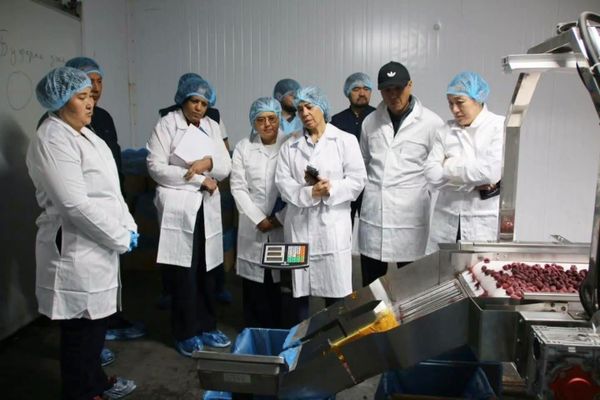 Ысык-Көлдө айыл чарба продукциясын экспортко даярдаган жаңы ишкана ишке кирди