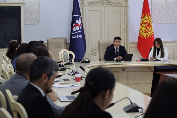 Экономика жана коммерция министрлигинин өкүлдөрү эл аралык өнөктөштөр менен жолугушту