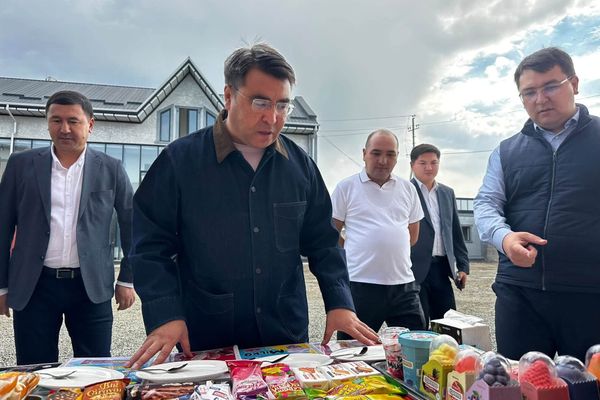 Ошто 393 млн сомдук балмуздак чыгаруучу завод ишке кирет
