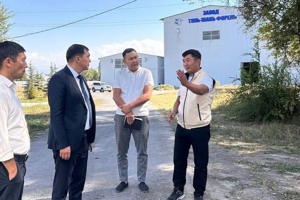 Балык тоютун өндүргөн ишканалар текшерилди
