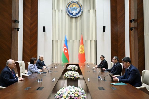 Президент Азербайжандын Милли Межлисинин төрайымын кабыл алды