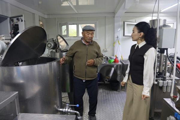 Кадамжайда сүттү кайра иштетүү жана мөмө сактоо иштери күчөтүлүүдө