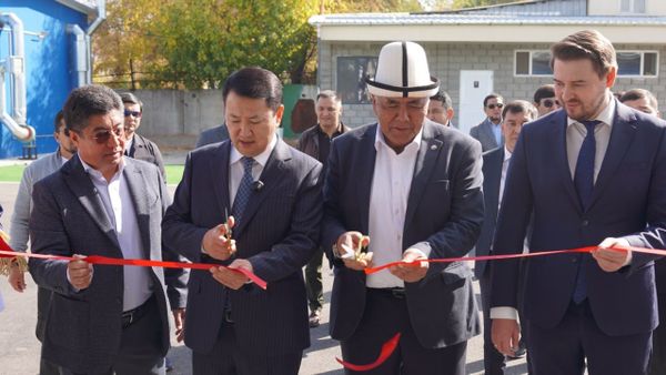 Чүйдө 10 млн долларга балык заводу ачылды