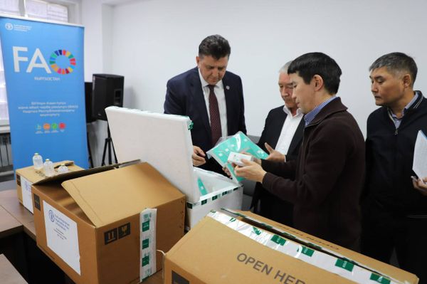Кыргызстан PPR ылаңына каршы 1,5 млн доза вакцина алды