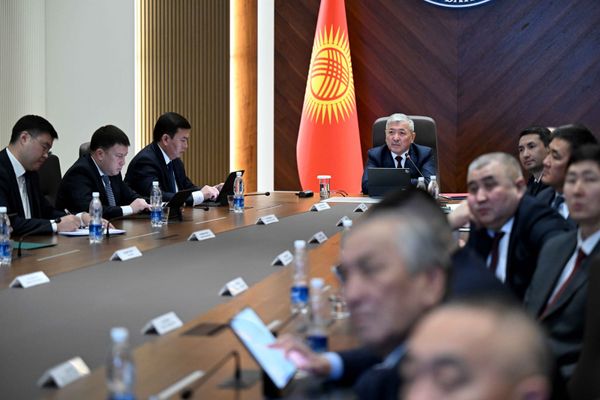 Өлкөдө багуучусунан айрылган 18,5 миң адам үчүн жөлөкпул алуу жеңилдетилди