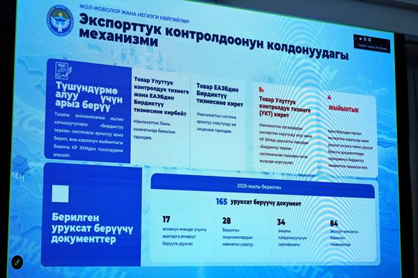 Өлкөдө экспорттук уруксаттарды берүү мөөнөтү 14 күндөн 10 күнгө кыскартылат