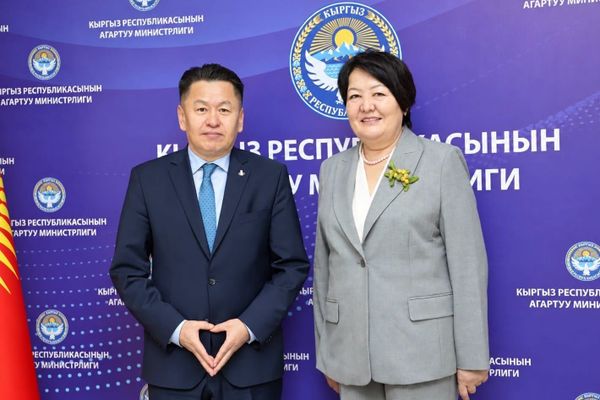 Кыргызстан менен Монголия билим берүү тармагындагы кызматташтыкты талкуулады