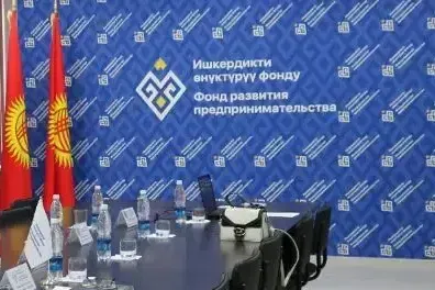 Ишкердикти өнүктүрүү фонду ири суммадагы насыяларды берүү мүмкүнчүлүгүнө ээ болот