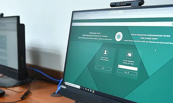 Салык төлөөчүлөр жеке кабинеттеги маалыматты кантип коргой алат?