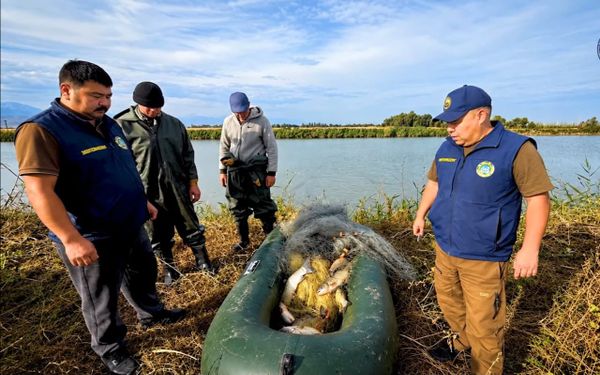 Чүйдө мыйзамсыз балык уулоо үчүн 36 миң сом айып салынды