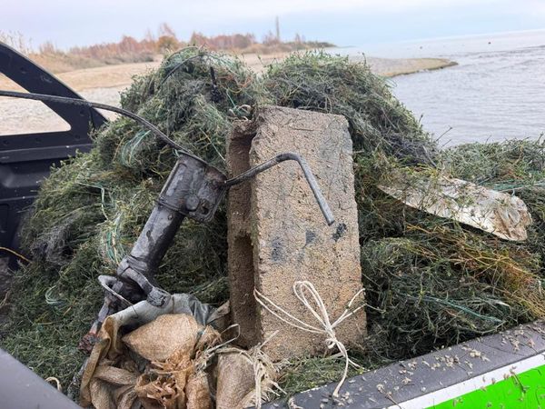 Ысык-Көлдөн бир күндө 3100 метр тор чыгарылды