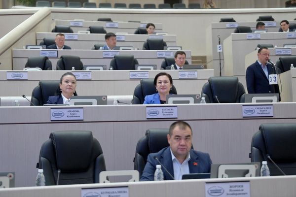 Ишкерлердин салыгы жана айып пулдар: Жогорку Кеңеште мыйзам долбоору талкууланды