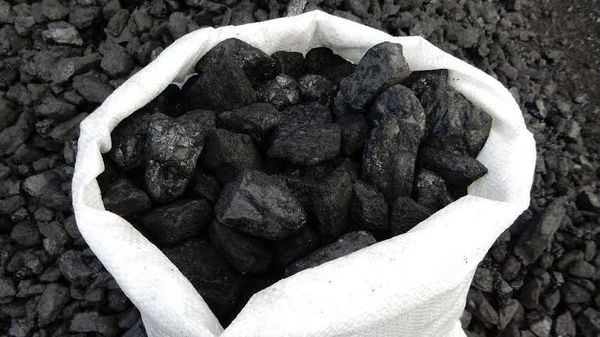 Токмок шаарында көмүрдүн баасына мониторинг жүргүзүлдү
