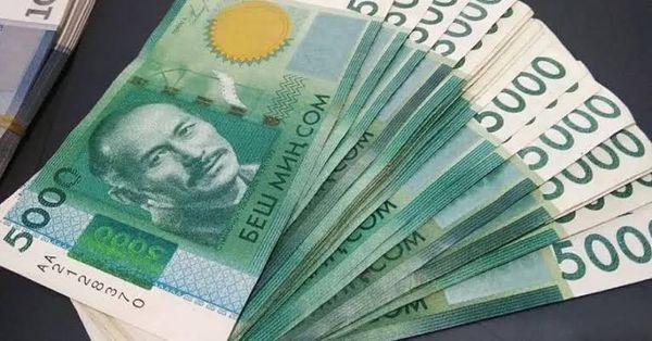 Бишкектеги төлөм уюмуна 55 миң сом айып салынды