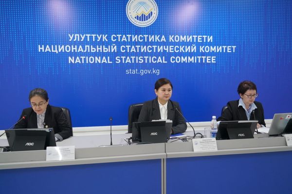 Кыргызстандын экономикасы 9 айда 10,8% өстү