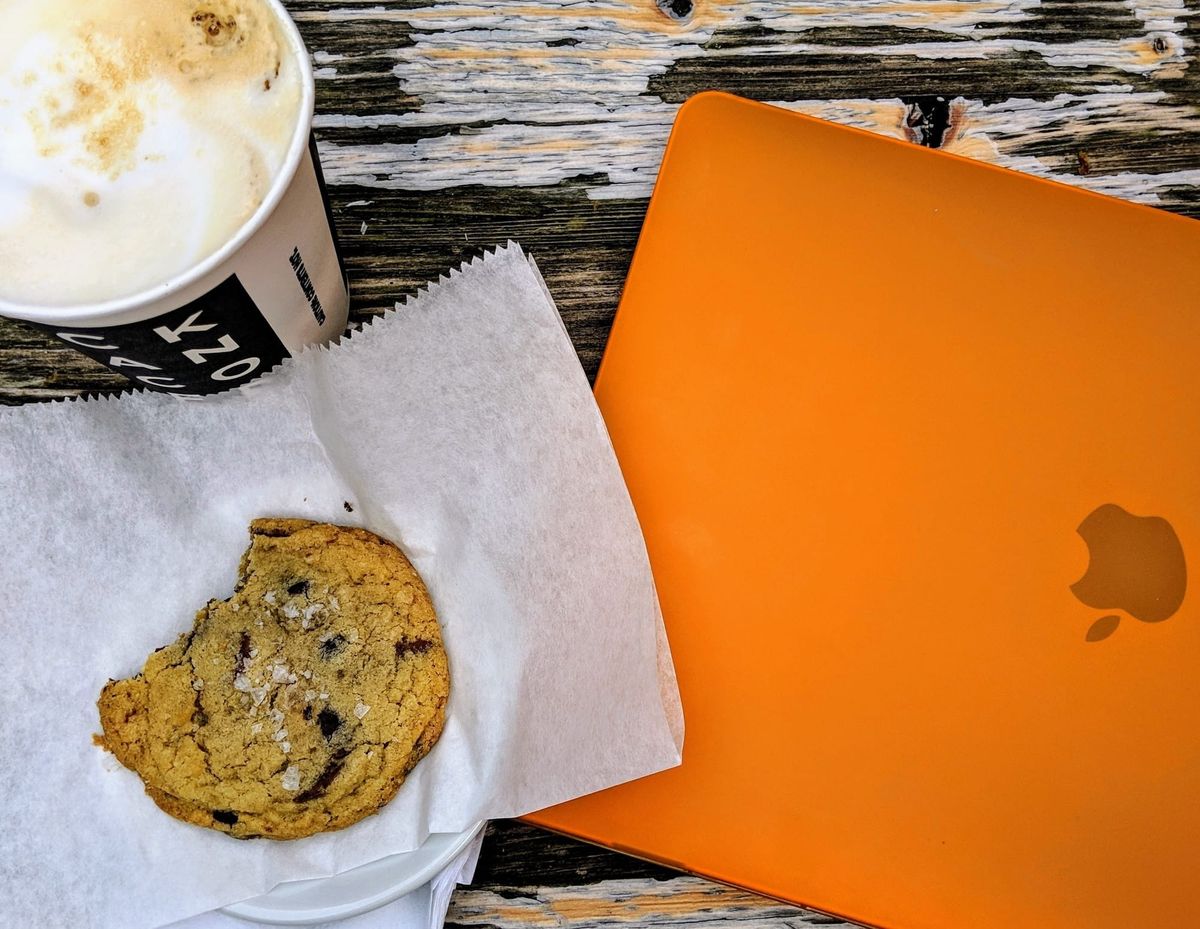 Professional Portfolio