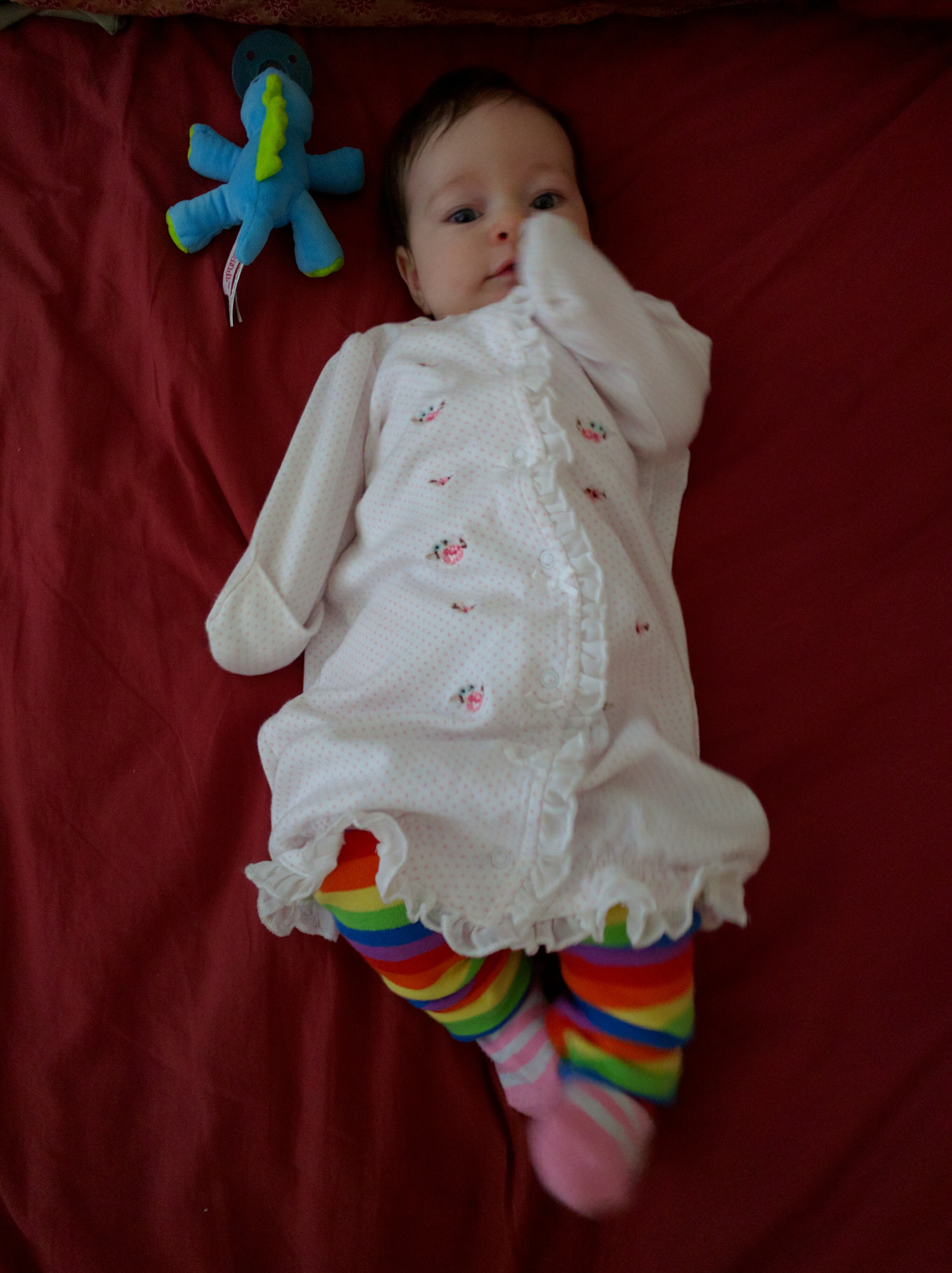 Vivian wearing rainbow leg warmers
