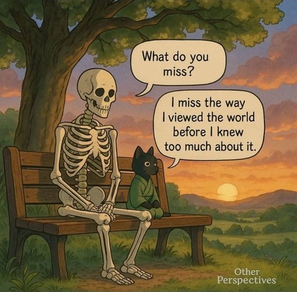 La vida no tiene nada que ver con lo que nos enseñaron.