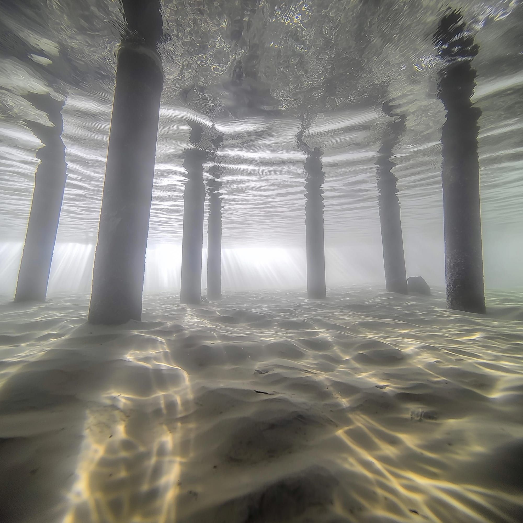 Words With: James Whipple (Hesaitix, M.E.S.H.)