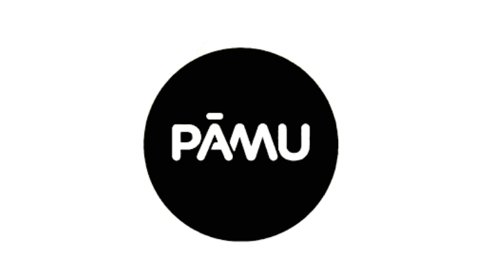 PaMu 無線藍牙耳機