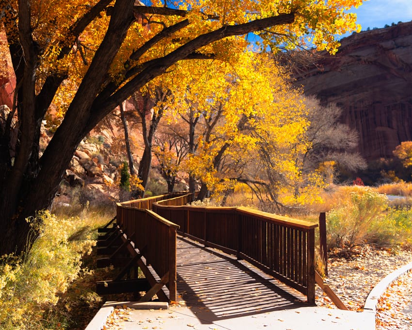 Wheelchair-accessible Fremont petroglyph boardwalk along Highway 24 in Capitol Reef National Park, Utah.