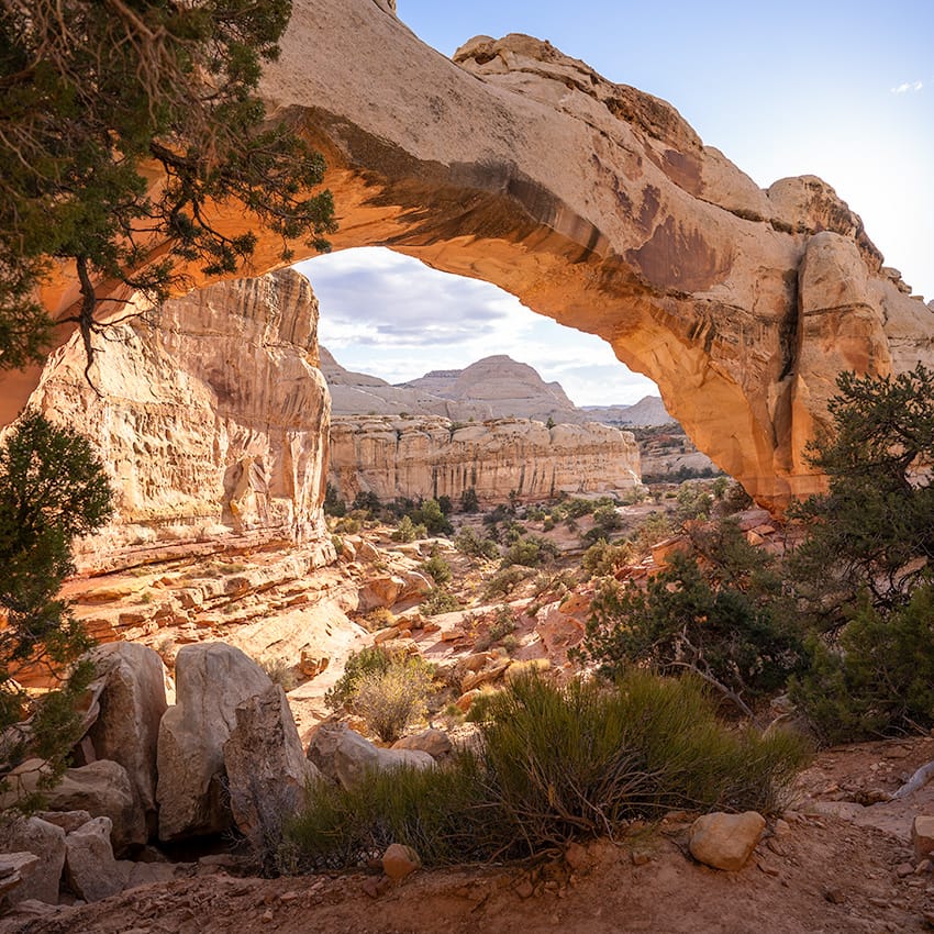 Hickman Bridge, a massive natural sandstone bridge in Capitol Reef National Park. © Roaming the Southwest