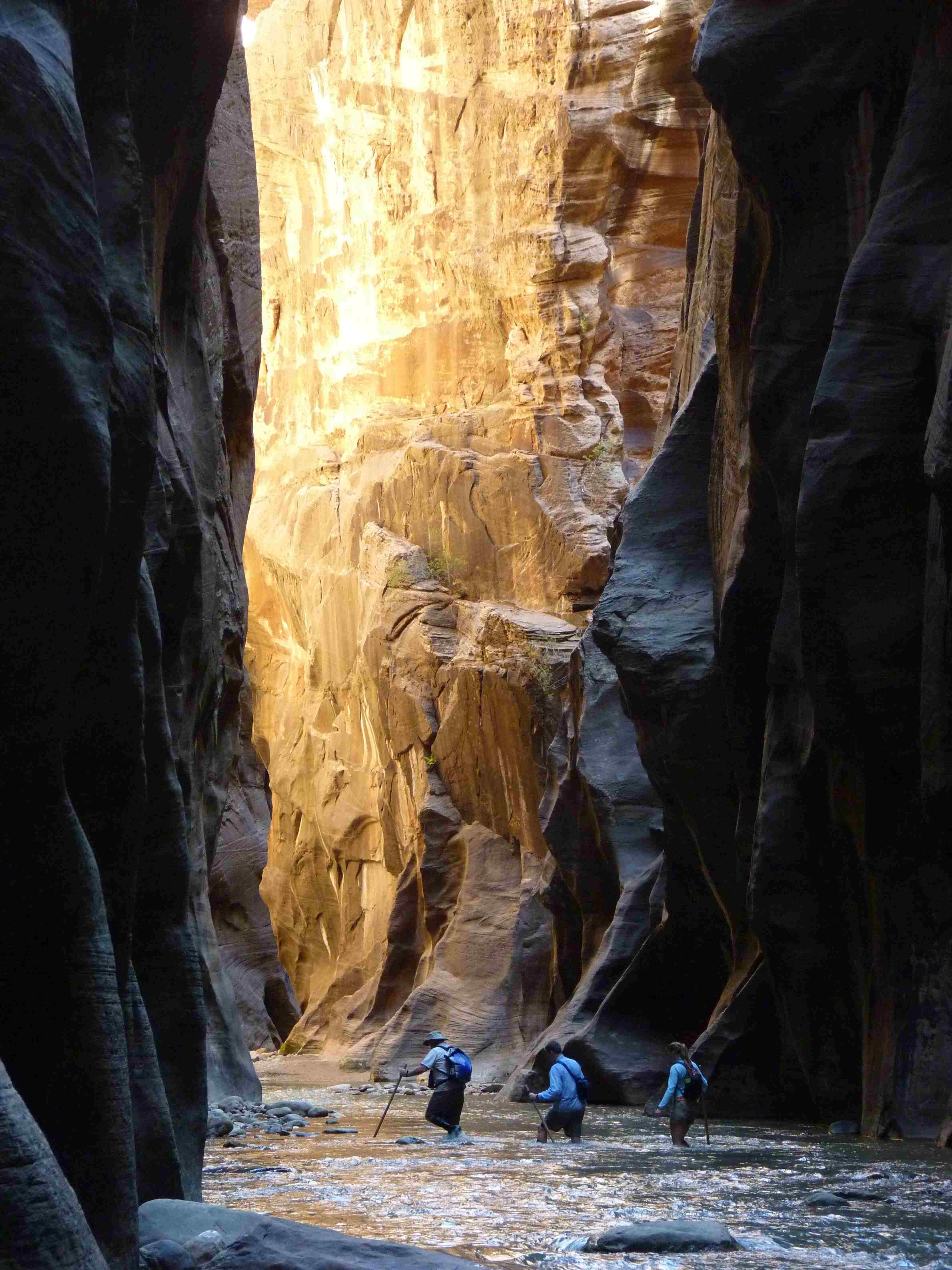 Hikers in the Narrows of Zion National Park. Photo: National Park Service (NPS)
